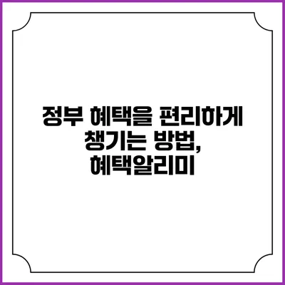 정부 혜택을 편리하게 챙기는 방법, 혜택알리미