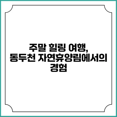 주말 힐링 여행, 동두천 자연휴양림에서의 경험