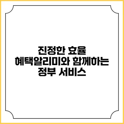 진정한 효율 혜택알리미와 함께하는 정부 서비스