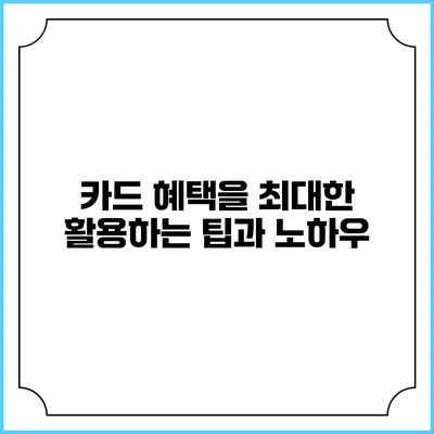 카드 혜택을 최대한 활용하는 팁과 노하우