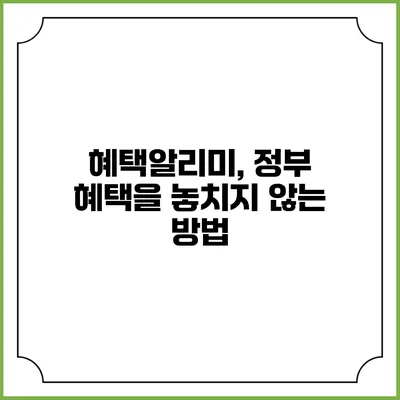 혜택알리미, 정부 혜택을 놓치지 않는 방법
