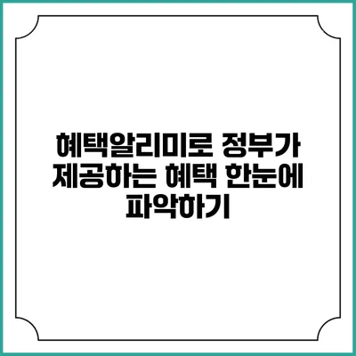 혜택알리미로 정부가 제공하는 혜택 한눈에 파악하기