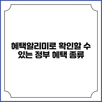 혜택알리미로 확인할 수 있는 정부 혜택 종류