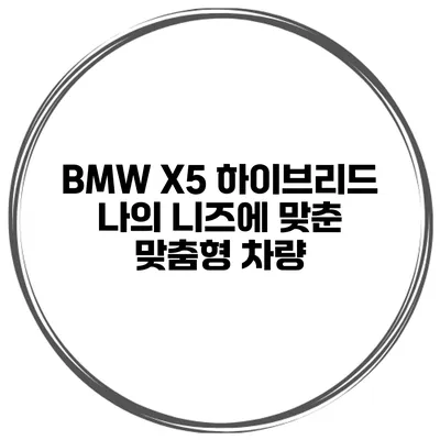 BMW X5 하이브리드 나의 니즈에 맞춘 맞춤형 차량