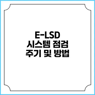 E-LSD 시스템 점검 주기 및 방법