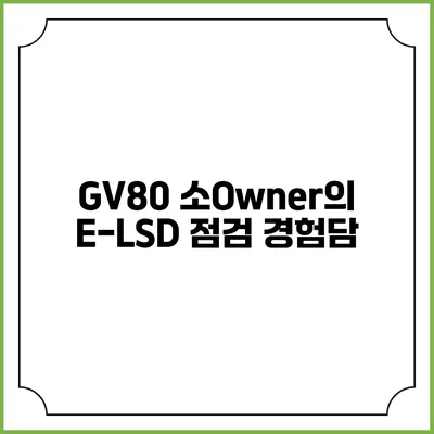 GV80 소Owner의 E-LSD 점검 경험담