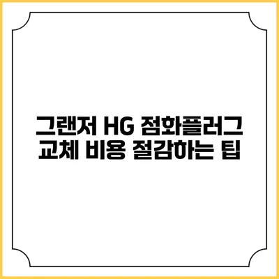 그랜저 HG 점화플러그 교체 비용 절감하는 팁