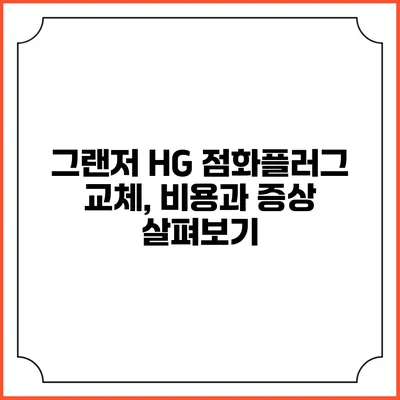 그랜저 HG 점화플러그 교체, 비용과 증상 살펴보기
