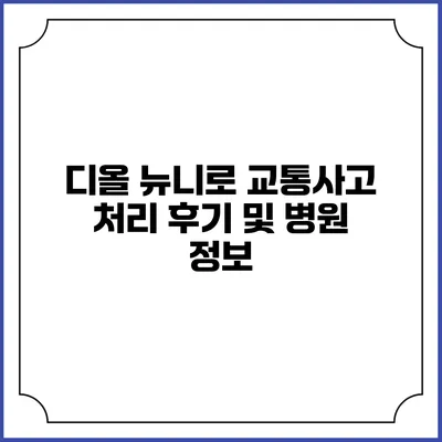 디올 뉴니로 교통사고 처리 후기 및 병원 정보