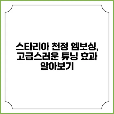 스타리아 천정 엠보싱, 고급스러운 튜닝 효과 알아보기