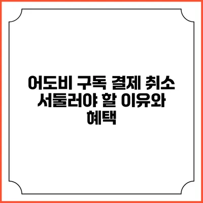 어도비 구독 결제 취소 서둘러야 할 이유와 혜택