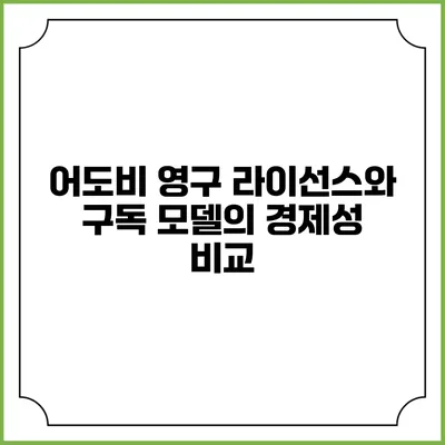 어도비 영구 라이선스와 구독 모델의 경제성 비교