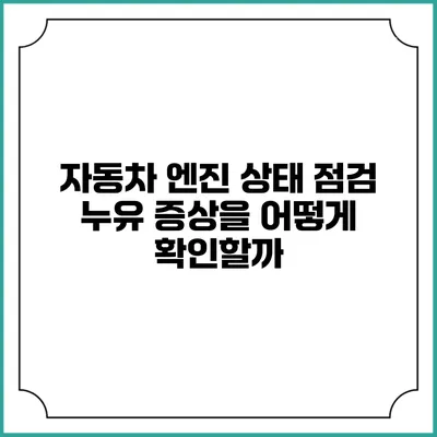 자동차 엔진 상태 점검 누유 증상을 어떻게 확인할까?