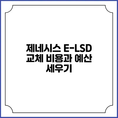 제네시스 E-LSD 교체 비용과 예산 세우기