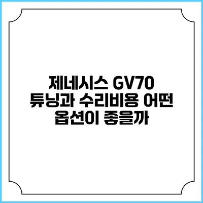 제네시스 GV70 튜닝과 수리비용 어떤 옵션이 좋을까?