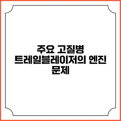주요 고질병 트레일블레이저의 엔진 문제