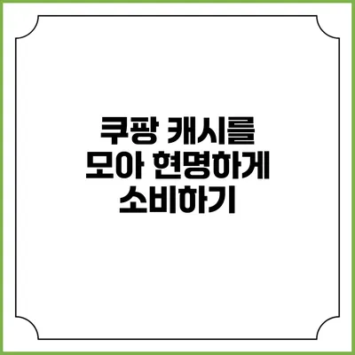 쿠팡 캐시를 모아 현명하게 소비하기